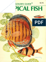 80667164-Tropical-Fish-A-Golden-Guide.pdf