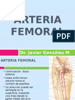 Arteria Femoral