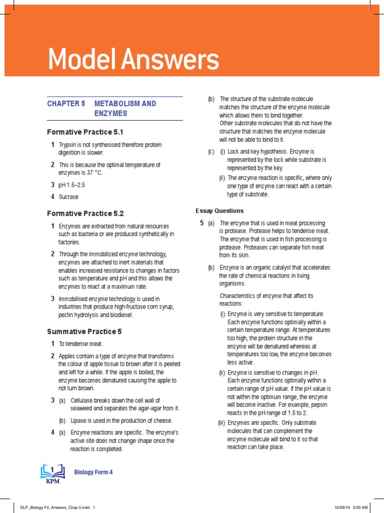 Model Answers: Chapter 5 Metabolism and Enzymes | PDF | Protease ...