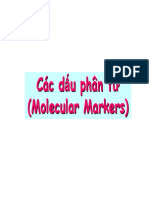 Lecture2 VN PDF