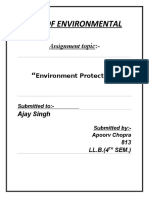 Environmental Law- Apoorv Chopra-813-LL.B 3YR (4th SEM)