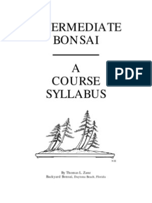 Intermediate Bonsai | Bonsai | Composition (Visual Arts)
