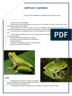 Reptiles y Anfibios