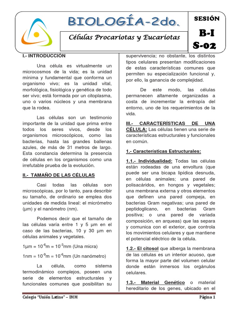Características de Células Procariotas y Eucariotas | PDF | Biología ...