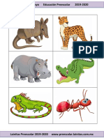Enero - Plantas y Animales (2019-2020) PDF