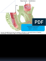 Renal Iii 2013