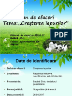 Plan de Afaceri Creșterea Iepurilor