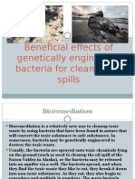 10 Beneficial Effects of Genetically Engineered Bacteria For Cleaning