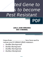 11 Inserted Genes To Plants To Become Pest Resistant