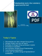 Plant-Associated Proteobacteria (And A Few Outsiders) : The Good and The Bad