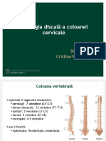 Curs 8 C - Pomirleanu PDF