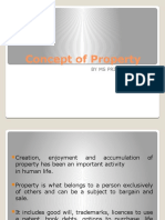 Concept of Property.pptx