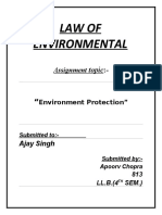 Environmental Law- Apoorv Chopra-813-LL.B 3YR (4th SEM).docx