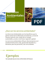 Servicios Ambientales