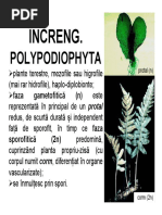 F Incr. Polypodiophyta PDF