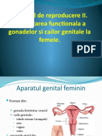 Curs AMG 11 - Genital Feminin