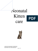 Neonatal Kitten Care: Page 1 of 19