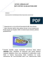 Hafta Mikoloji Ve Mantar Hastalıkları