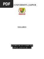 Nims University, Jaipur: Syllabus