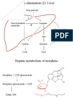 Drug elimination (2): Liver metabolism