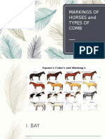 MARKINGS OF HORSES and TYPES OF COMB