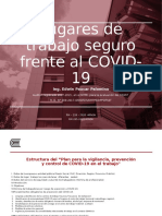 Lugares-de-trabajo-seguro-frente-al-COVID-19-ligero-1