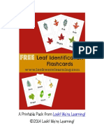 Leaf Identification Flashcards.pdf