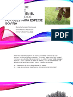 Aplicación de Derivadas e Integrales en El Crecimiento