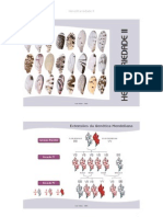 Hereditariedade 2