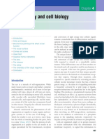 forrester2016 4.pdf