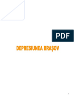 Depresiunea Brasov