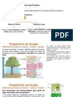 BIOL11 Aula5 6maio