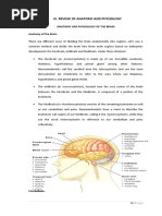 Anatomy and Physiology