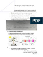 Respuestas Taller de Repaso Bioquímica PDF