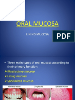 Nonkeratinized Oral Mucosa Structure