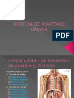 Noțiuni de Anatomie Umană