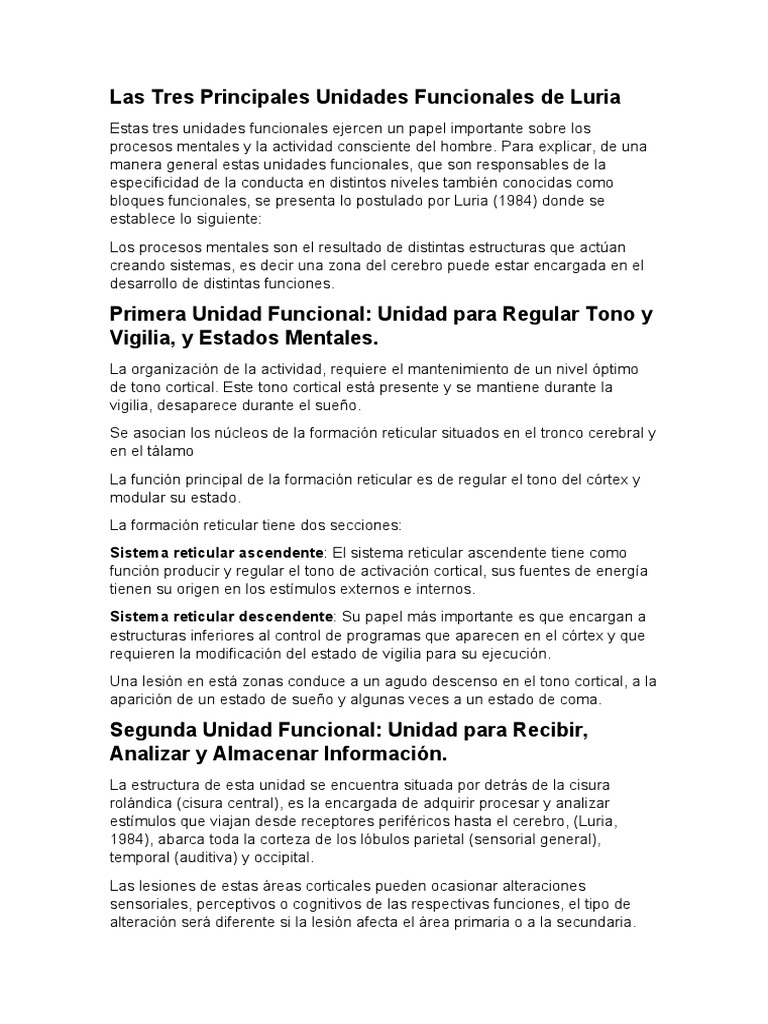 Las Tres Principales Unidades Funcionales de Luria 2 | PDF | Corteza ...