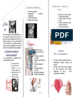 triptico Enema (1).docx