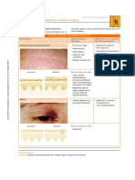 4 X Cuadro Diagnostico 1 PDF