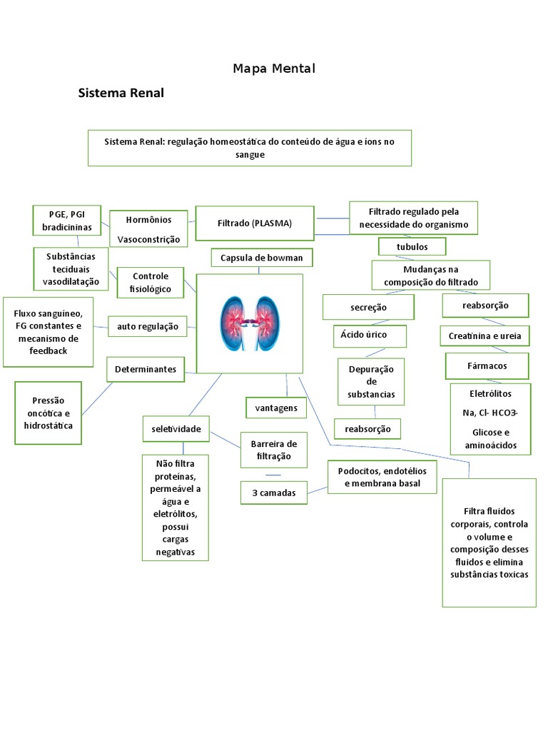 Mapa Mental Renal.1 | PDF | Sistema urinário | Fisiologia