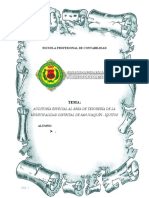 AUDITORIA GUBERNAMENTAL AL AREA DE TESORERIA FINAL.docx