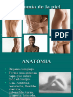 1.-Anatomia de La Piel