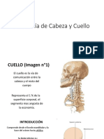 AnatomÃ_a de Cabeza y Cuello.pdf