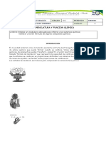 Nomenclatura y función química en ciencias naturales grado 10