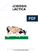 Acidosis Lactica