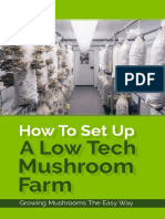 How To Set Up A Low Tech Mushroom Farm