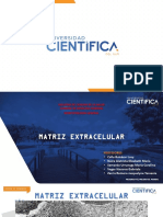 2 MATRIZ EXTRACELULAR-F (5).pdf