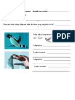 Humboldt Penguin: What Habitat Does It Live In? What Are Their Wings Like and What Do These Help Penguins To Do?