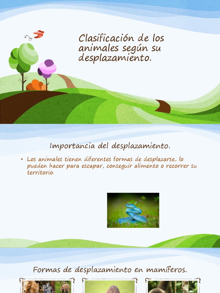 Los Animales Según Su Desplazamiento | PDF