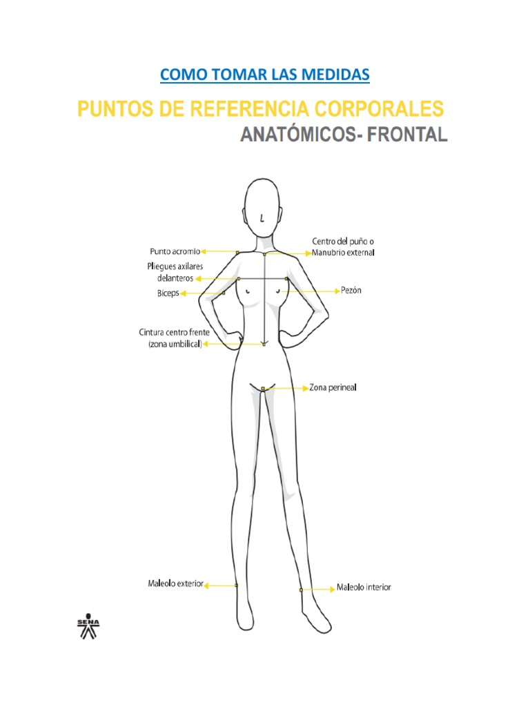 Cómo tomar medidas?